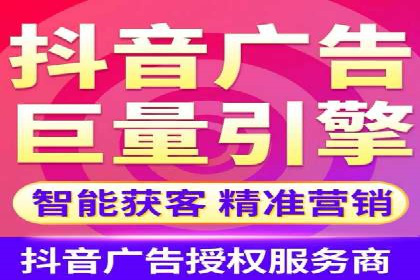 谷歌竞价广告与SEO结合的营销案例解析